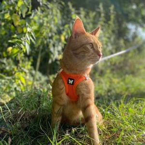 product/m/a/martin-sellier_3008558_orange_2.jpg