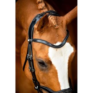 61001-4-bridons-equitation-en-cuir-vegan-montar-monarch-jumping-eco-black