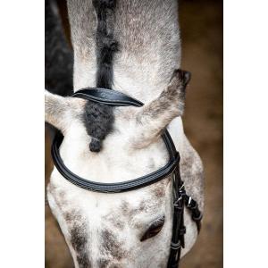 63001-4-bridons-equitation-en-cuir-vegan-montar-hunter-eco-black