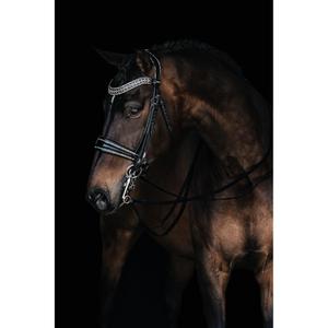 1449-001-mors-de-bride-pour-cheval-mrs-ros-johnny-double-silver-full