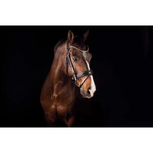 1563-001-mors-de-bride-pour-cheval-mrs-ros-deluxe-black