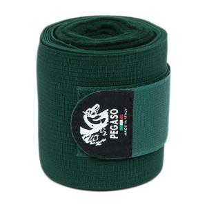 nb101ve-paire-de-bande-de-travail-pour-cheval-polaire-nanny-blue-green-tu
