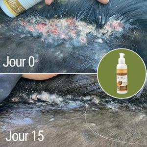 product/n/a/natural-innov_naturalbalm-250ml_10-nw032624.jpg