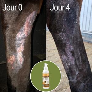 product/n/a/natural-innov_naturalbalm-250ml_12-nw032624.jpg