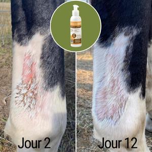 product/n/a/natural-innov_naturalbalm-250ml_15-nw032624.jpg