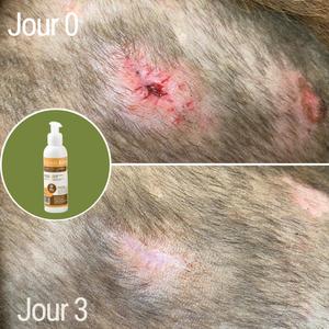 product/n/a/natural-innov_naturalbalm-250ml_16-nw032624.jpg