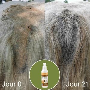 product/n/a/natural-innov_naturalbalm-250ml_21-nw032624.jpg