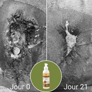 product/n/a/natural-innov_naturalbalm-250ml_24-nw032624.jpg