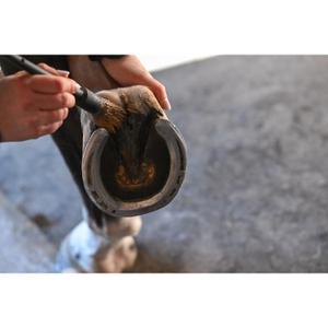 product/n/a/natural-innov_naturalcoat-3l-noir_7-nw032624.jpg