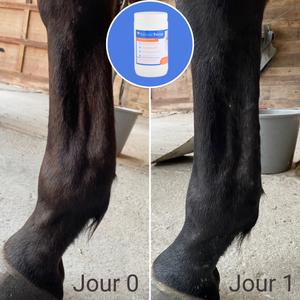 product/n/a/natural-innov_naturalrecup-13kg_4-nw032624.jpg
