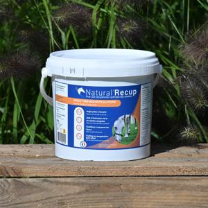 product/n/a/natural-innov_naturalrecup-4kg_2-nw032624.jpg