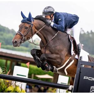 black-horse-f-m-gants-d-equitation-femme-ngb-sport-noir-m