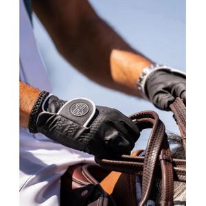 product/n/g/ngb-sport_black-horse_3.jpg