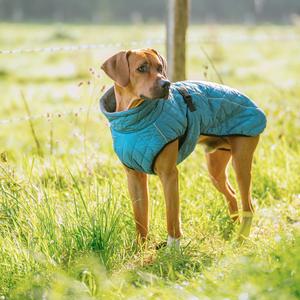 product/n/o/nobby-pet_51506_0.jpg