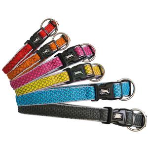 product/n/o/nobby-pet_53064-32_bleu-clair_2.jpg