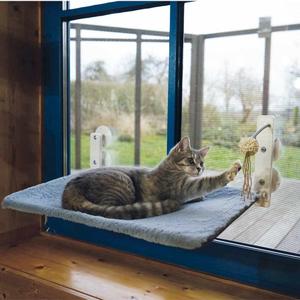 product/n/o/nobby-pet_53092_bleu_2.jpg