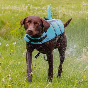 product/n/o/nobby-pet_61030_8.jpg