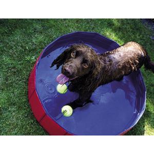 product/n/o/nobby-pet_62205_1.jpg