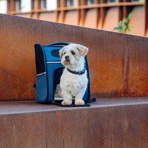 product/n/o/nobby-pet_63867_2.jpg