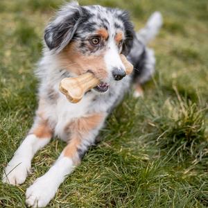 product/n/o/nobby-pet_68117_2.jpg