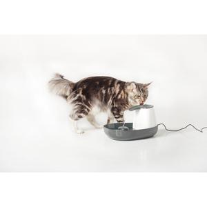 product/n/o/nobby-pet_72144_1.jpg