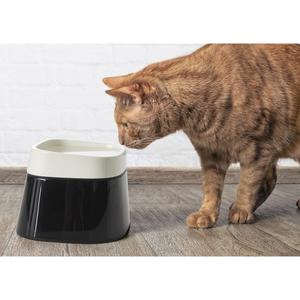 product/n/o/nobby-pet_72329_1.jpg