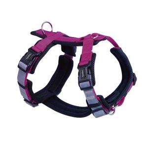 80451-64-harnais-pour-chien-nobby-pet-daily-walk-comfort-raspberry-purple-xl