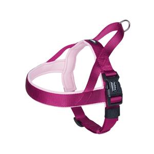 80532-64-harnais-norvegien-pour-chien-nobby-pet-classic-preno-rasberry-rose-m-l