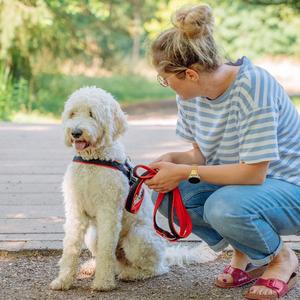 product/n/o/nobby-pet_80551-01_1.jpg