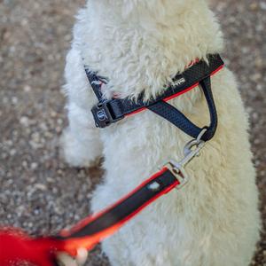 product/n/o/nobby-pet_80551-01_2.jpg
