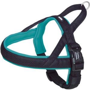 80552-34-harnais-norvegien-pour-chien-nobby-pet-mesh-preno-turquoise-m-l