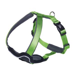 product/n/o/nobby-pet_80730-39.jpg