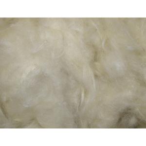 product/n/o/nobby-pet_81104.jpg