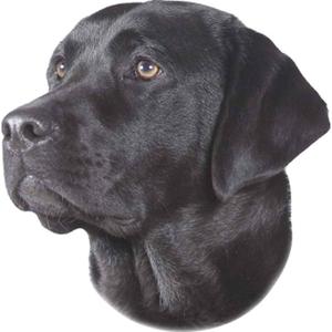 product/n/o/nobby-pet_93266.jpg