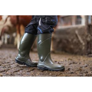 product/n/o/nora_347580_vert-olive_6.jpg