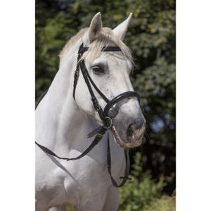 301998002-bridons-equitation-norton-club-noir-cheval