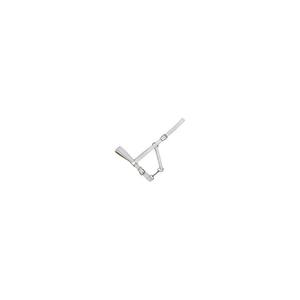product/n/o/norton-club_510320_1.jpg