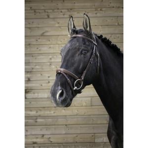 301827118-bridons-equitation-norton-pro-fin-havane