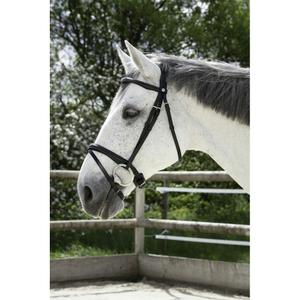 301829202-bridons-equitation-combinee-norton-pro-noir