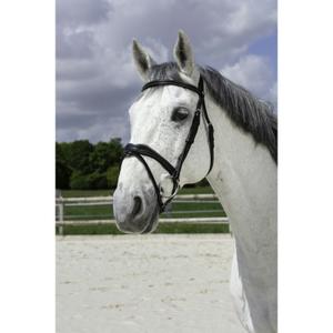 301832202-bridons-equitation-norton-pro-vague-noir