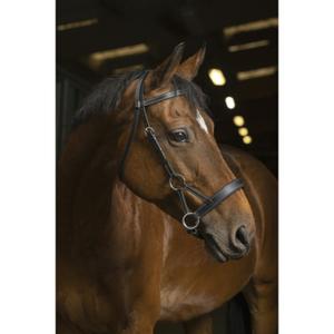 301889202-bridons-equitation-norton-pro-confort-noir-pur-sang