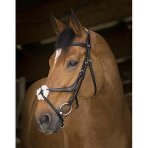 301893202-bridons-equitation-norton-pro-muserole-croisee-noir
