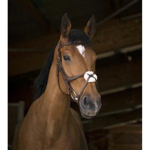 301893218-bridons-equitation-norton-pro-muserole-croisee-havane