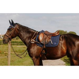 306594318-collier-de-chasse-pour-cheval-5-points-norton-pro-havane-tu