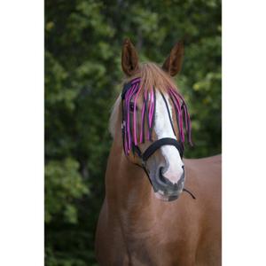 306730223-frontal-pour-cheval-norton-chasse-mouches-noir-framboise