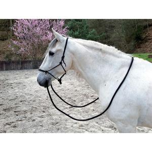 510155002-licol-ethologique-pour-cheval-avec-renes-norton-noir-cheval