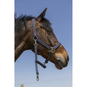 510245007-licol-pour-cheval-norton-grooming-marine
