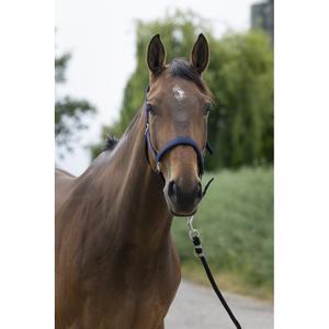 510248007-licol-pour-cheval-satine-norton-marine