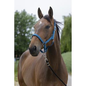 510248040-licol-pour-cheval-satine-norton-bleu-canard