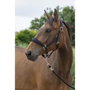 510249202-ensemble-licol-et-longe-pour-cheval-large-norton-noir
